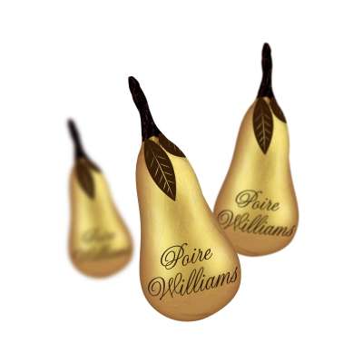 Boîte Excellence Liqueurs Poire Williams