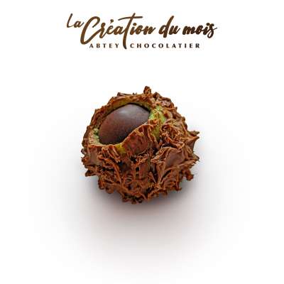 Châtaigne au chocolat crème de marrons et pâte d'amande