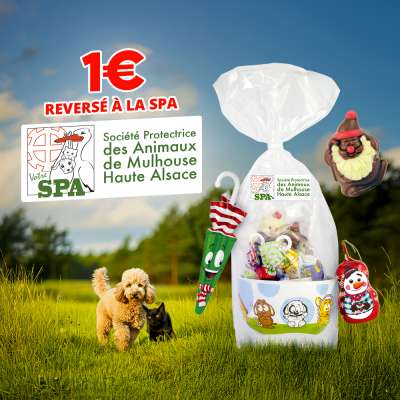 Opération SPA : Grand Assortiment de Noël (au chocolat au lait) avec un Bol Chien