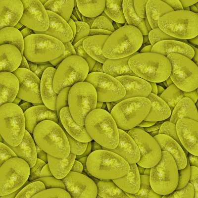 Vrac 1 Kg Oeuf praliné amande au ChoViva