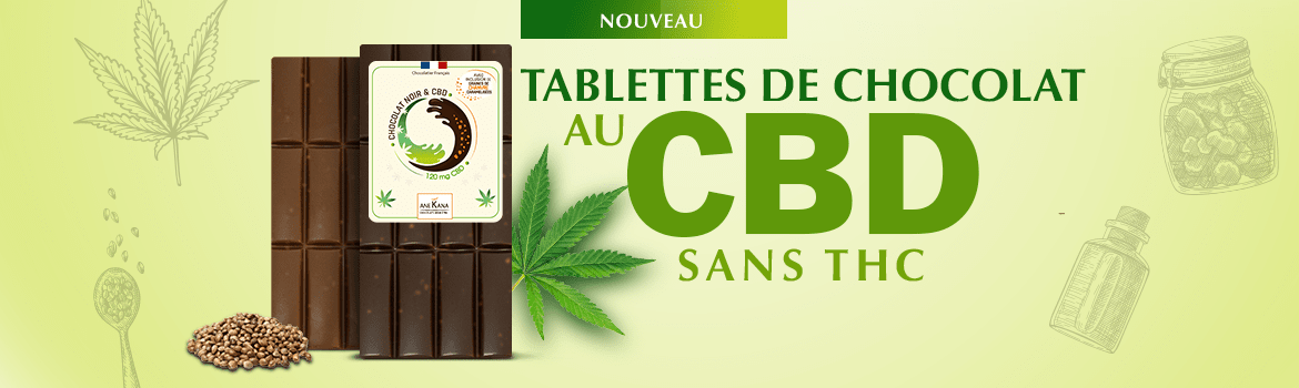 chocolat cbd